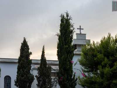Tra le fronde riusciamo a scorgere il campanile sovrastato da una croce...